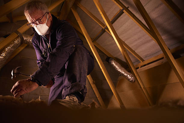 Best Spray Foam Insulation  in Pflugerville, TX